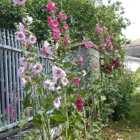 Chateau D'annezay Bed & Breakfast Annezay