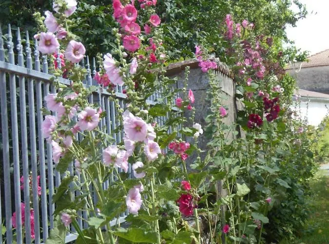 Chateau D'annezay Bed and breakfast Annezay